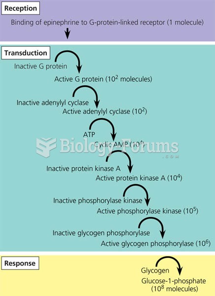 Cytoplasmic response to a signal: the stimulation of glycogen breakdown by epinephrine.