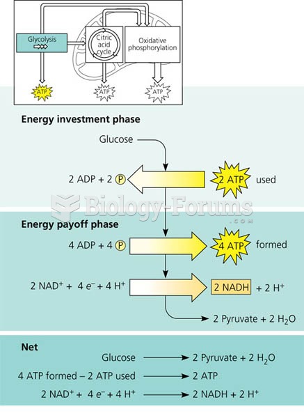 The energy input and output of glycolysis.