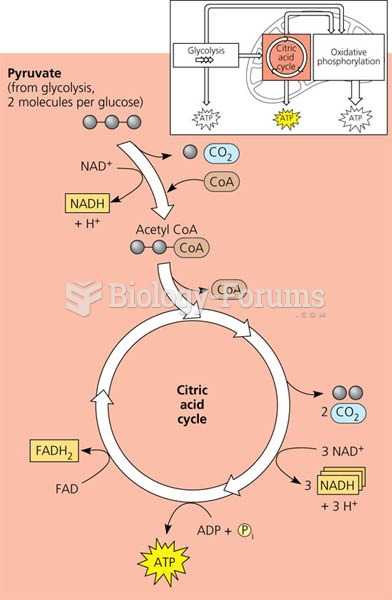 An overview of the citric acid cycle.