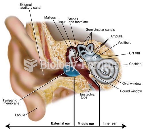 Cross Section of the Ear