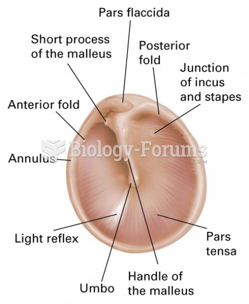 Landmarks of the Left Tympanic Membrane