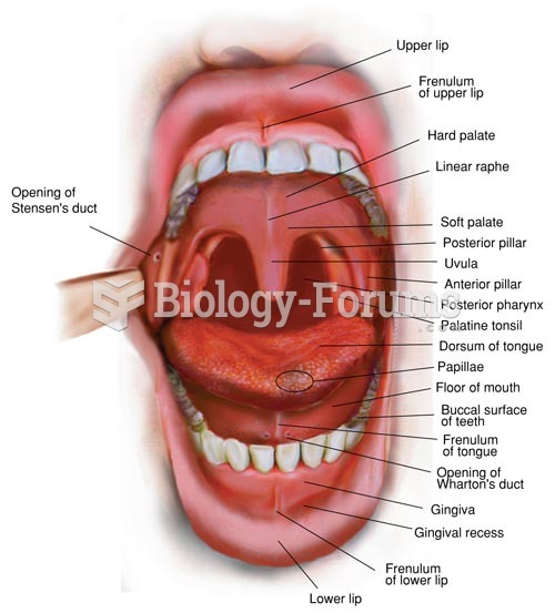 Structures of the Mouth