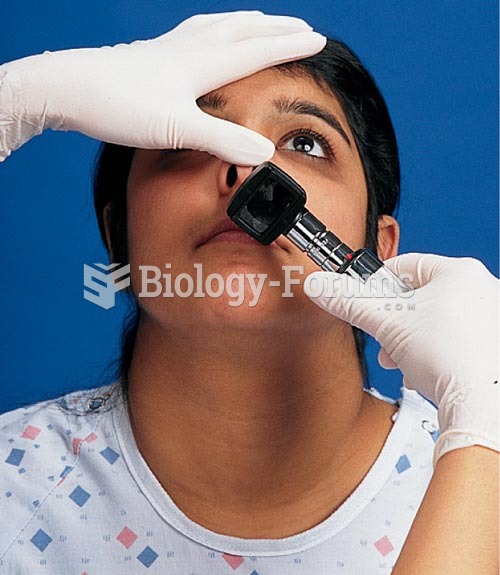 Internal Inspection of the Nose