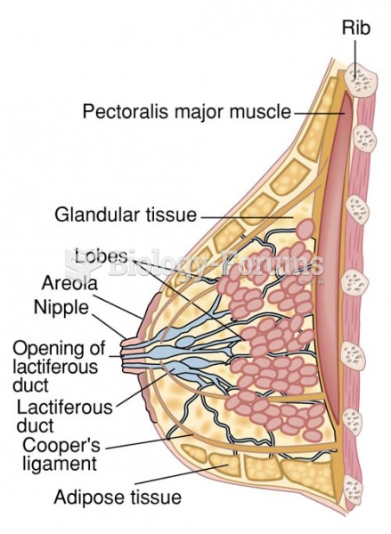 Cross Section of the Left Breast