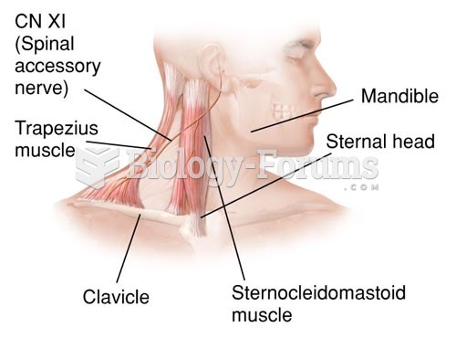 Major Cervical Muscles