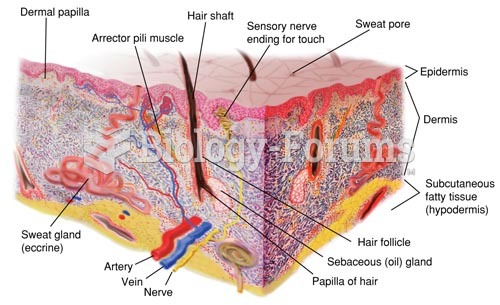 Structures of the Skin