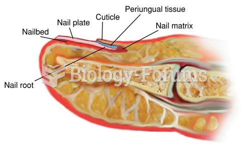 Structures of the Nail