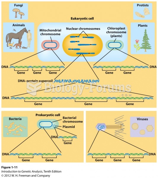 Structural comparison of the genome components of eukaryotes, prokaryotes, and viruses