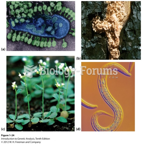 Some organisms used as models in genetic research