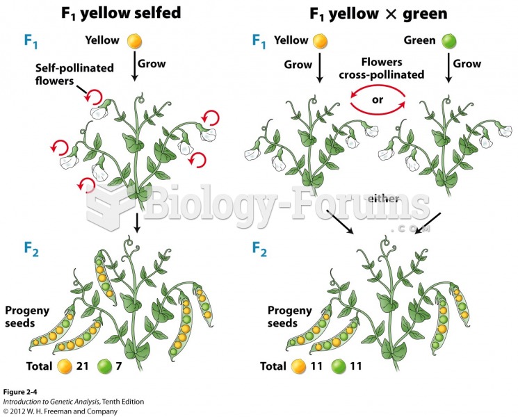 MendelÃƒÂ¢Ã¢â€šÂ¬Ã¢â€žÂ¢s crosses resulted in specific phenotypic ratios