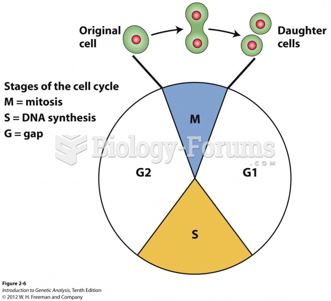 Stages of the asexual cell cycle