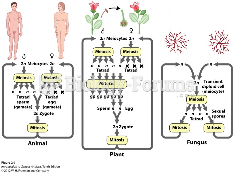 Cell division in common life cycles