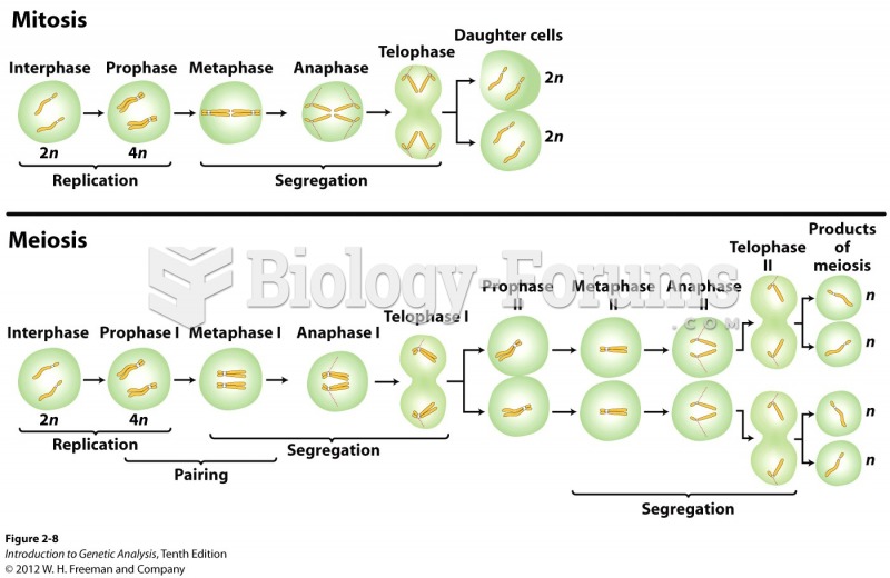Key stages of meiosis and mitosis