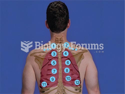 Percussion Patterns, Posterior Thorax