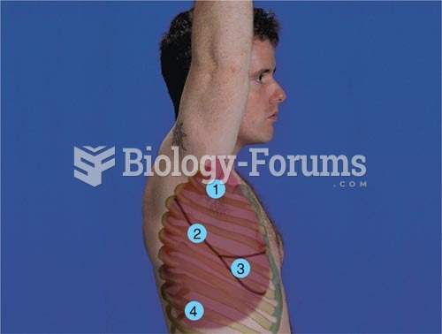 Percussion Patterns, Right Lateral Thorax