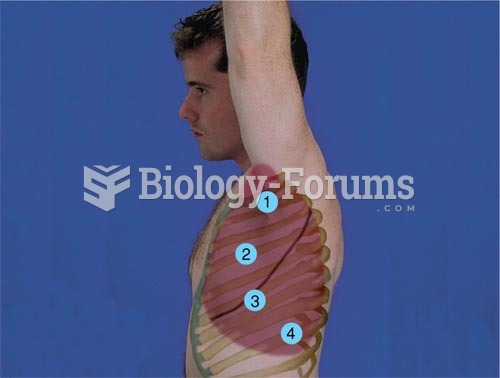 Percussion Patterns, Left Lateral Thorax