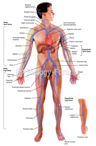 Venous System Anatomy