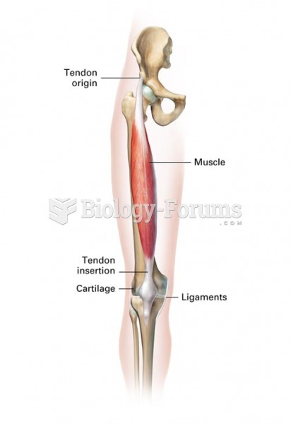 Connective Tissue Structures of the Leg