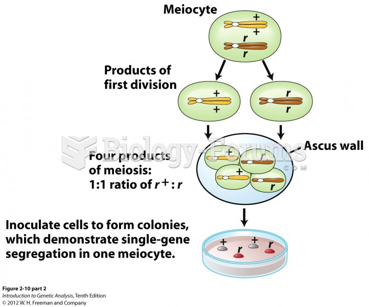 Demonstration of equal segregation within one meiocyte in the yeast S. cerevisiae