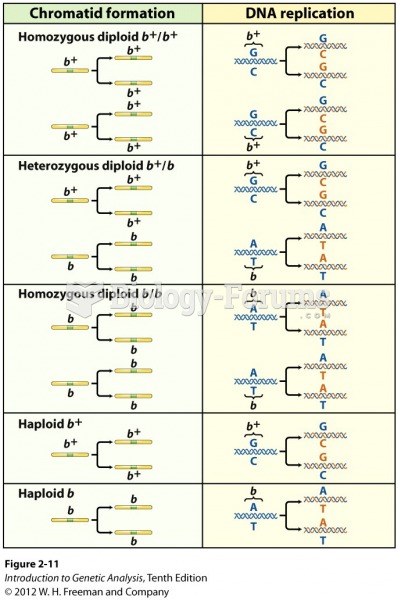 DNA molecules replicate to form identical chromatids