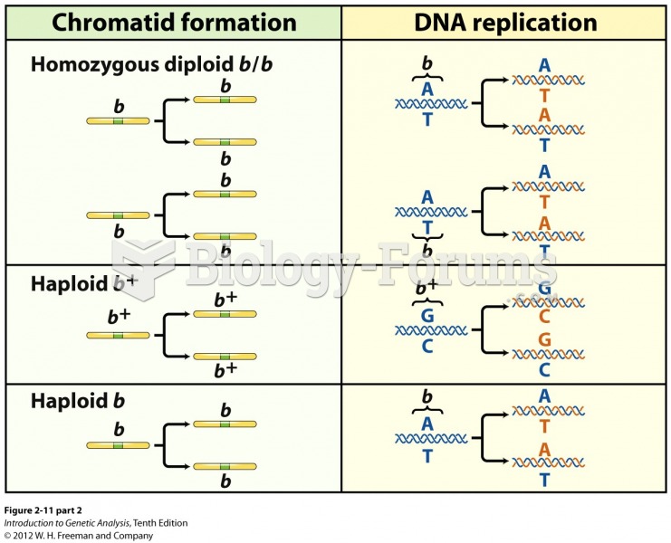 DNA molecules replicate to form identical chromatids