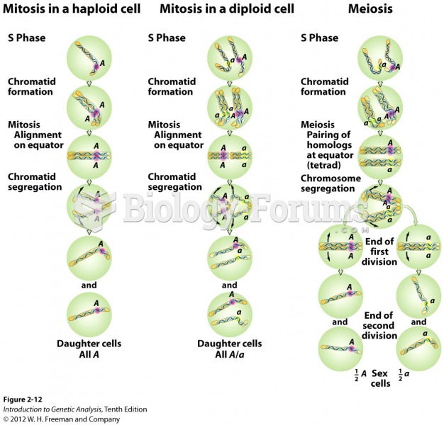 Nuclear division at the DNA level