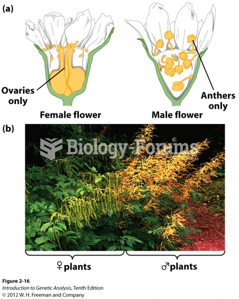 Male and female plants