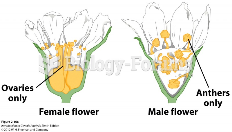 Male and female plants