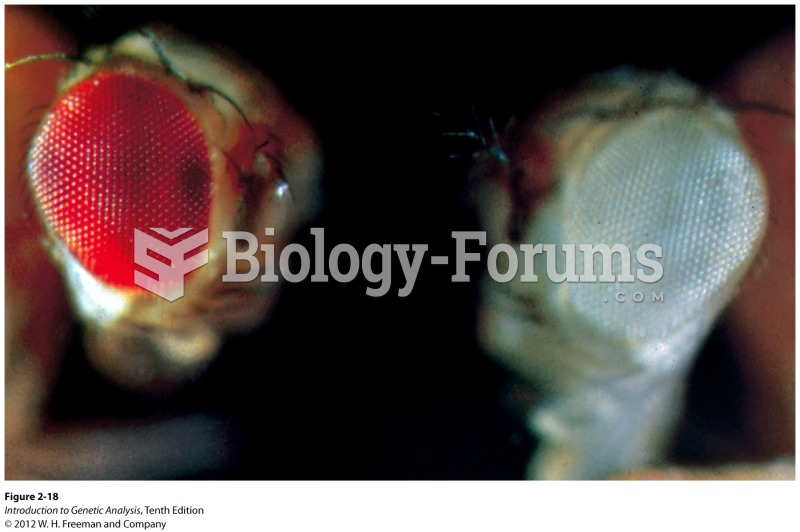 Red-eyed and white-eyed Drosophila