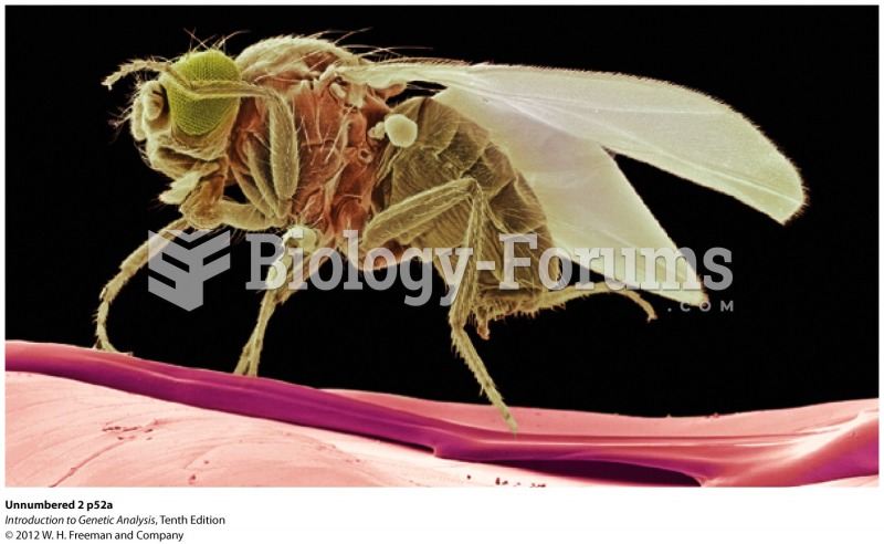 Model Organism Drosophila