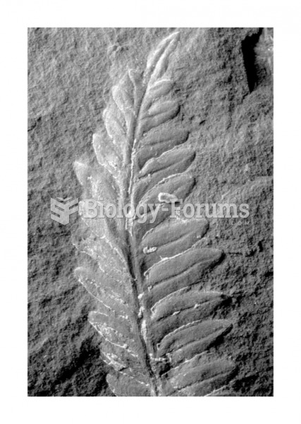 A fossil leaf in low-grade coal