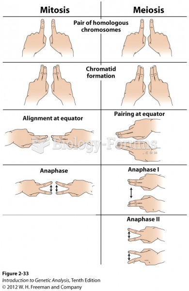 The main events of mitosis and meiosis