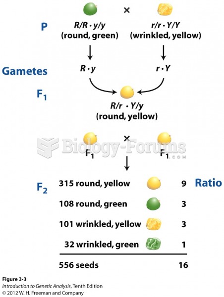 Mendel's breeding program that produced a 9 : 3 : 3 : 1 ratio