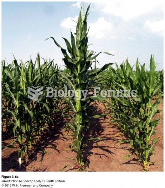 Hybrid vigor in corn