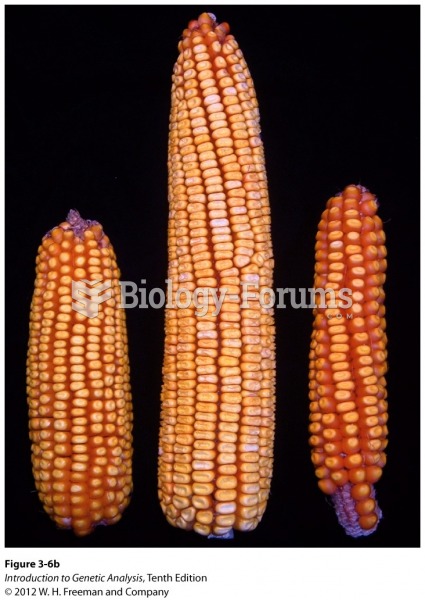 Hybrid vigor in corn