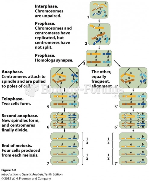 Independent assortment of chromosomes at meiosis explains MendelÃƒÂ¢Ã¢â€šÂ¬Ã¢â€žÂ¢s ratio