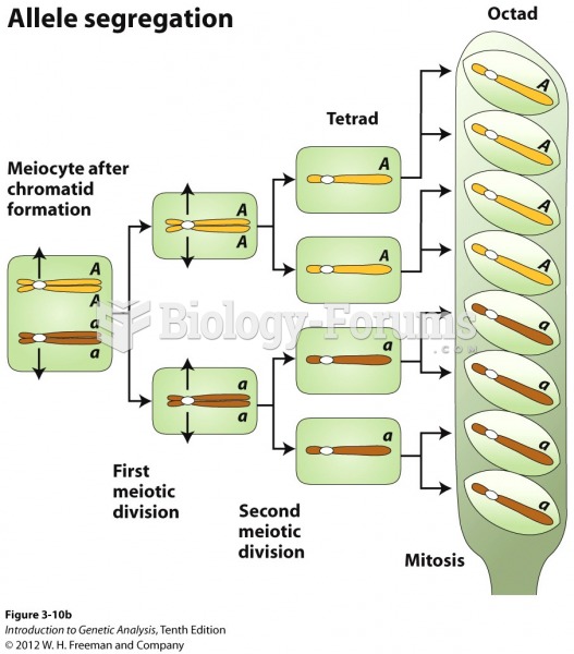 The linear meiosis of Neurospora