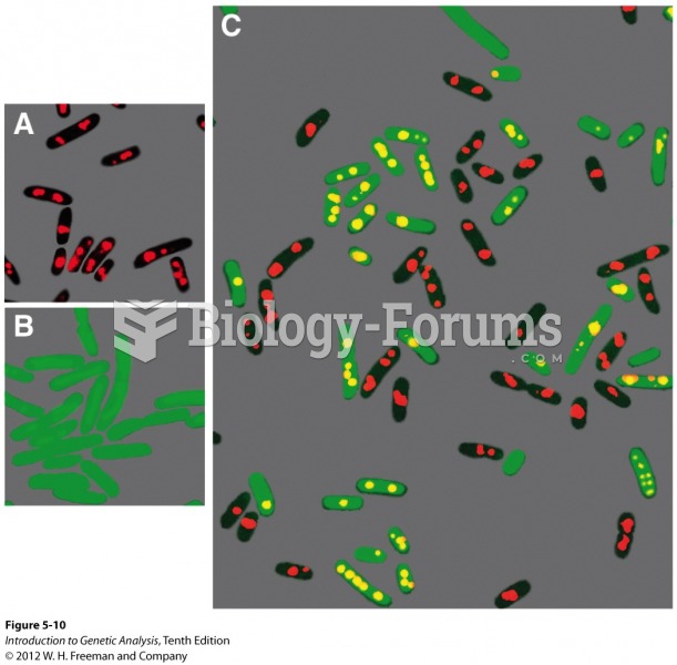 Donor DNA is transferred as a single strand