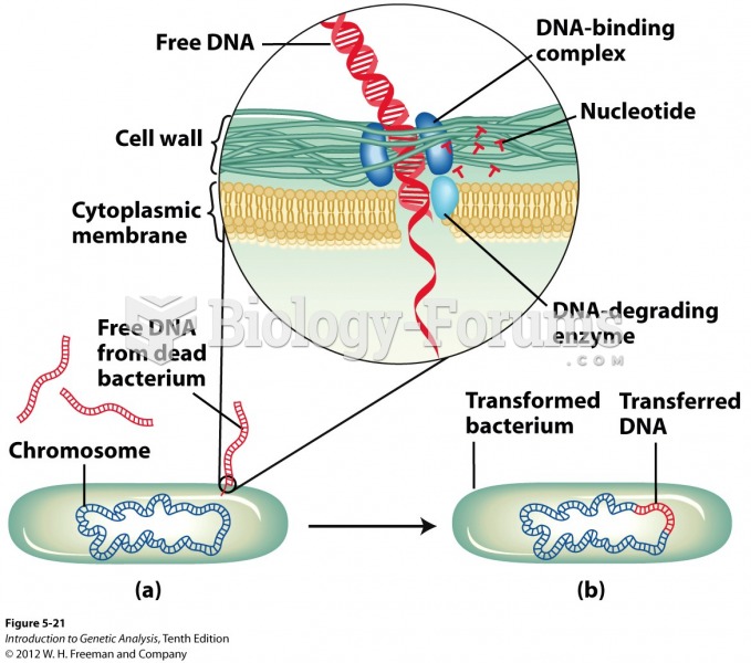 Machanism of DNA uptake by bacteria