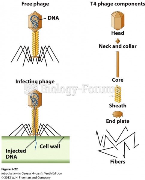 Structure and function of phage T4