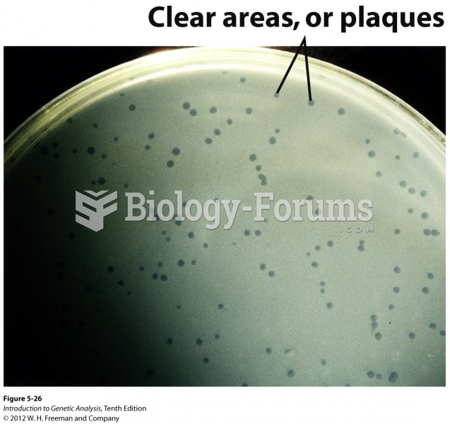 A plaque is a clear area in which all bacteria have been lysed by phages