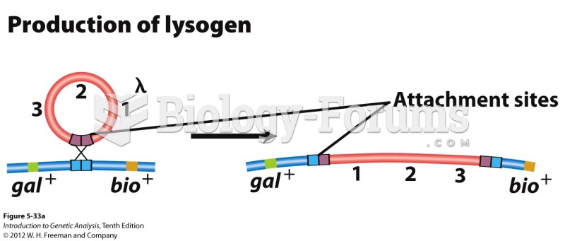 Faulty outlooping produces lambda phage containing bacterial DNA