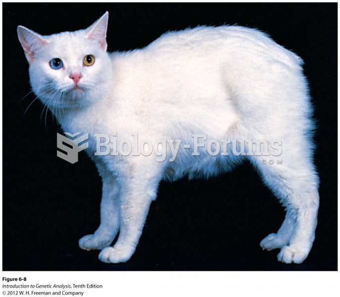 Tailless, a recessive lethal allele in cats