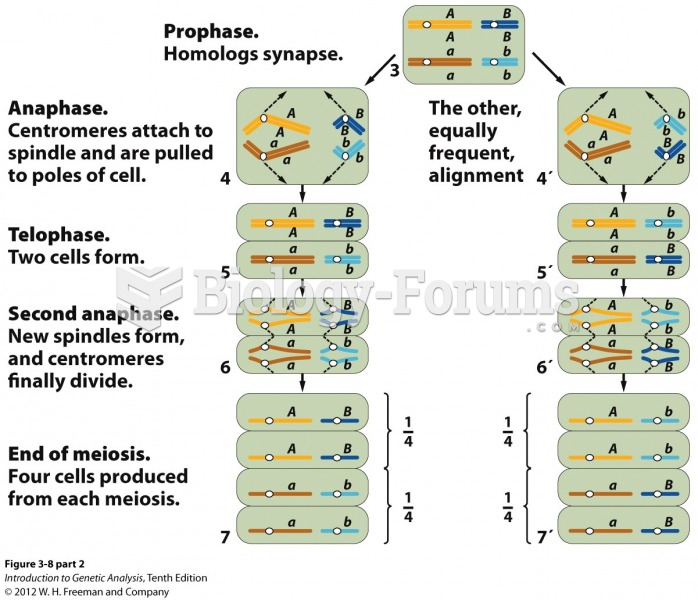 Independent assortment of chromosomes at meiosis explains MendelÃƒÂ¢Ã¢â€šÂ¬Ã¢â€žÂ¢s ratio