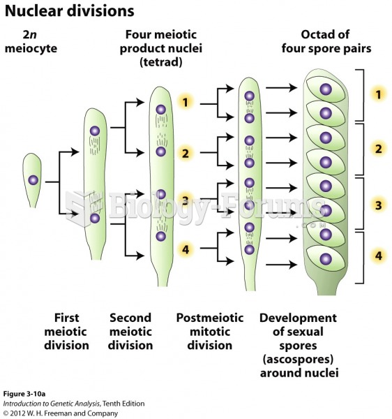 The linear meiosis of Neurospora