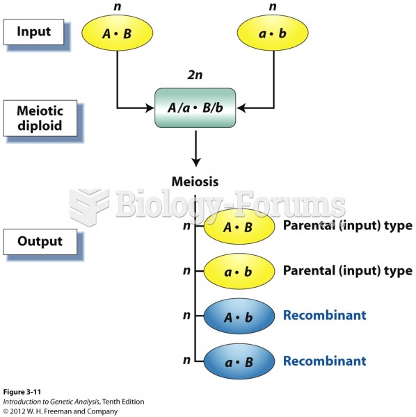 Recombinants are meiotic output different from meiotic input