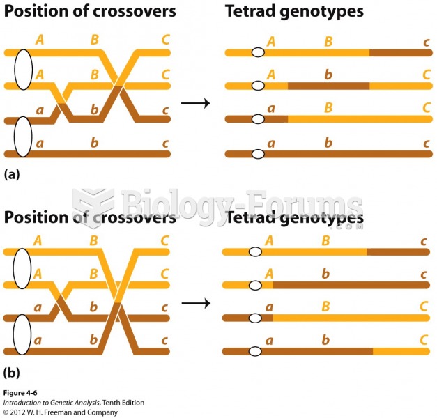 Multiple crossovers can include more than two chromatids