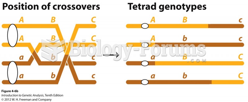 Multiple crossovers can include more than two chromatids