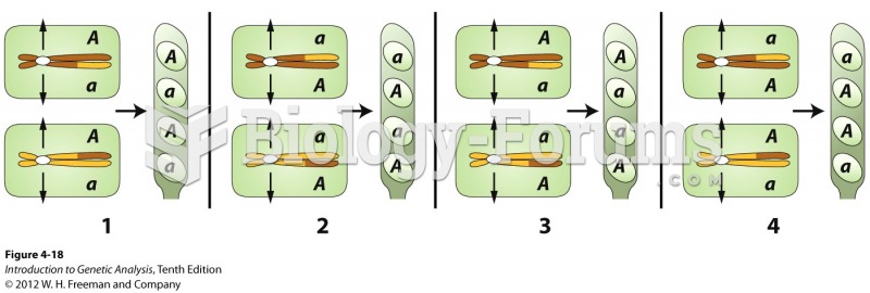 Four different spindle attachments produce four second-division segregation patterns