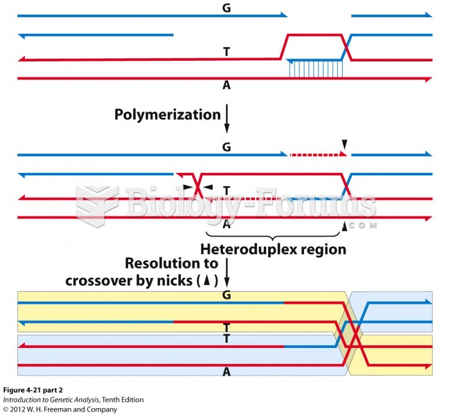 Crossing over creates heteroduplex DNA